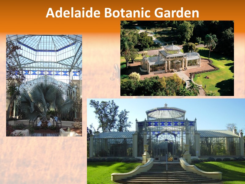 Adelaide Botanic Garden